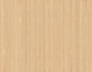 ModernWood Texture