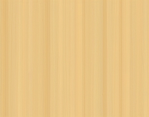 ModernWood Texture