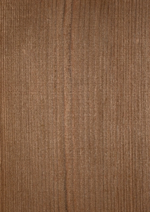 ModernWood Texture