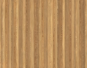 ModernWood Texture