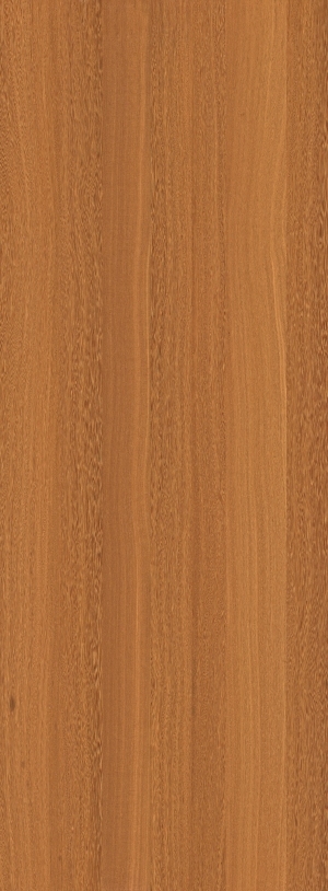 ModernWood Texture