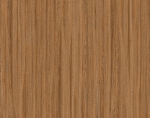 ModernWood Texture