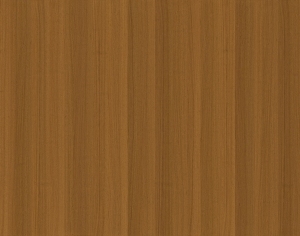 ModernWood Texture