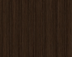 ModernWood Texture