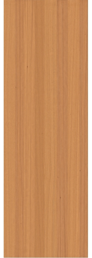 ModernWood Texture