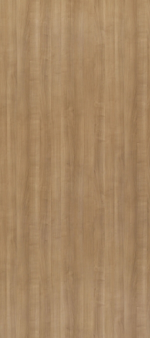 ModernWood Texture