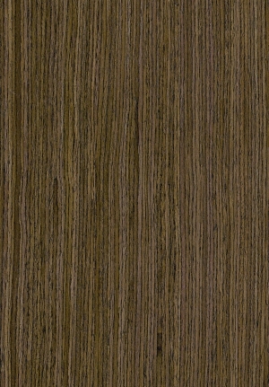 ModernWood Texture