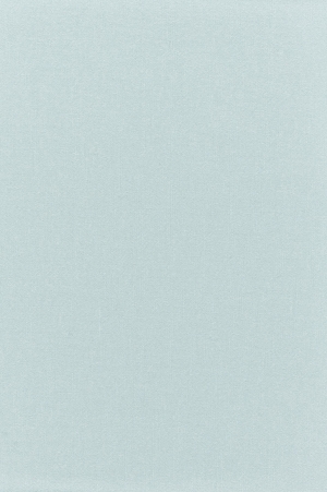 纯色墙布墙纸-ID:920494089