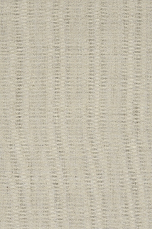 ModernFabric Linen