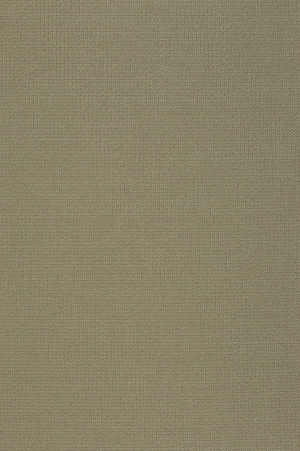 纯色墙布墙纸-ID:234461071