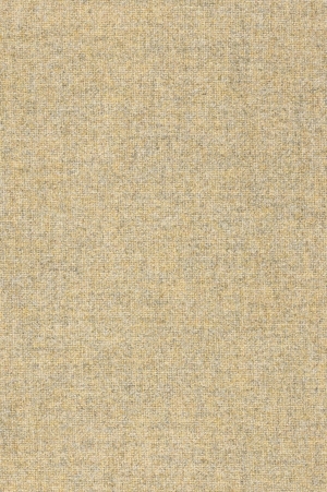 ModernFabric Linen