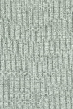 ModernFabric Linen