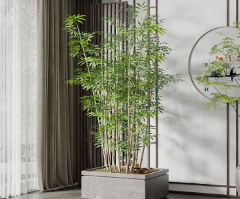 新中式竹子绿植盆栽-ID:451261047