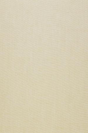 ModernFabric Linen