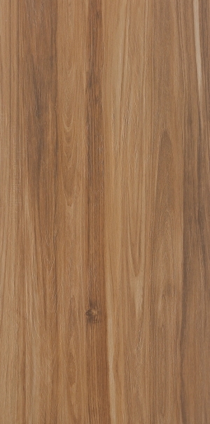 ModernWood Texture