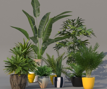 Modern Potted Green Plant-ID:340523001