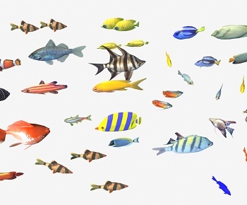 现代水族馆鱼类动物3D模型