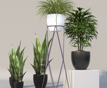 Modern Potted Green Plant-ID:790838966