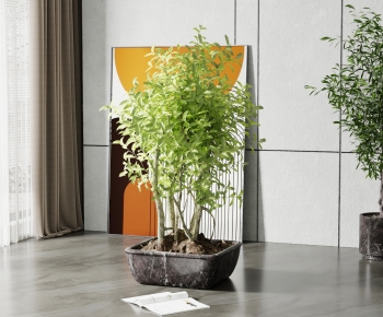Modern Potted Green Plant-ID:529814967