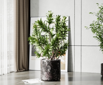 Modern Potted Green Plant-ID:152622945