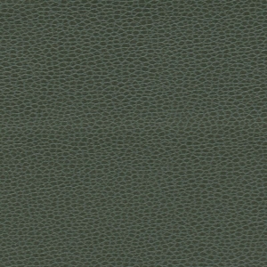 绿色沙发粗纹皮革-ID:346874009