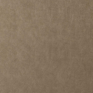 ModernFine Grain Leather