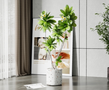 Modern Potted Green Plant-ID:378967052