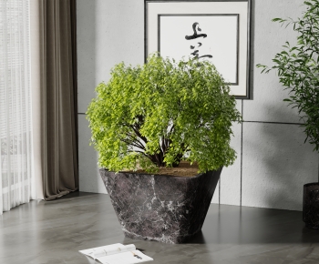 Modern Potted Green Plant-ID:127465017