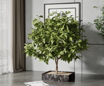 Modern Potted Green Plant-ID:754743102