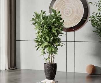 Modern Potted Green Plant-ID:360879907