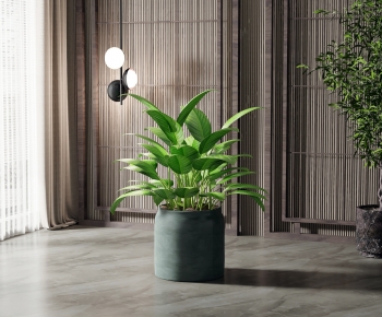 Modern Potted Green Plant-ID:238384963