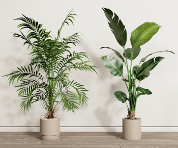 Modern Potted Green Plant-ID:774722106