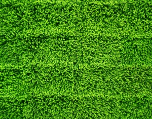 现代植物墙-ID:300568107