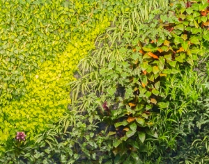 现代植物墙-ID:860120061