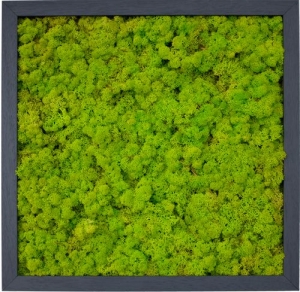 现代植物墙-ID:318809991
