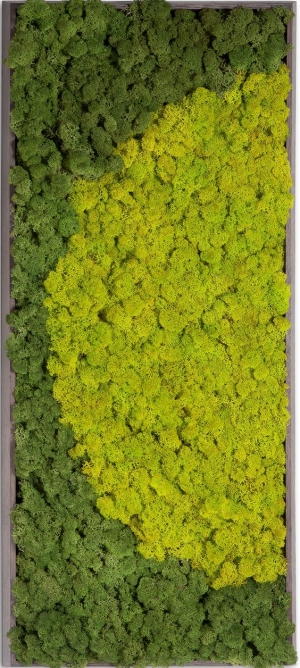 现代植物墙-ID:967041974