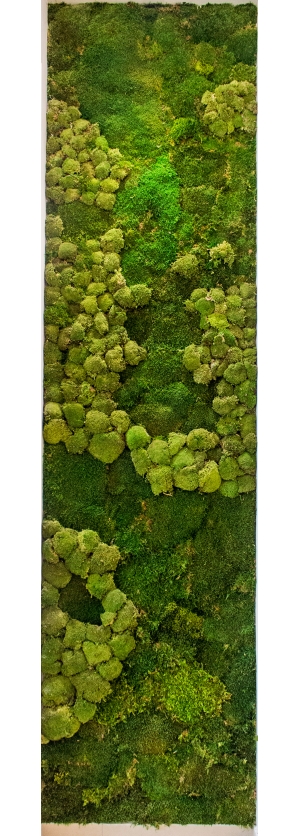 现代植物墙-ID:811017046