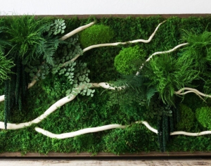 现代植物墙-ID:218191199