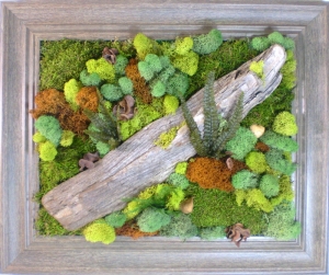 现代植物墙-ID:578046083