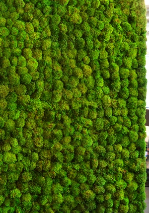 现代植物墙-ID:456813109
