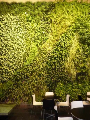 现代植物墙-ID:922188041