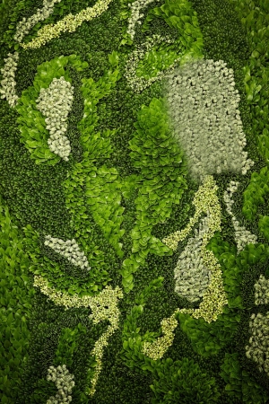 现代植物墙-ID:897507913