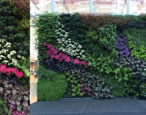 现代植物墙-ID:737896926