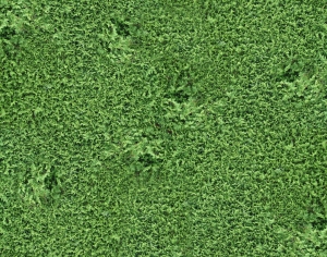 现代植物墙-ID:450454954