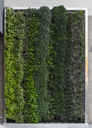 现代植物墙-ID:157289034