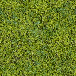 现代植物墙-ID:745426893