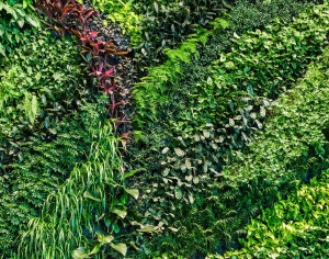 现代植物墙-ID:314548026
