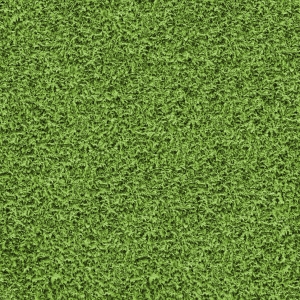 现代植物墙-ID:963649999
