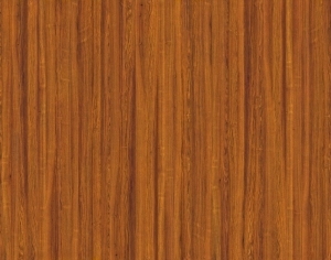 ModernWood Texture