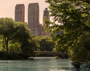 白天外景-ID:441051968
